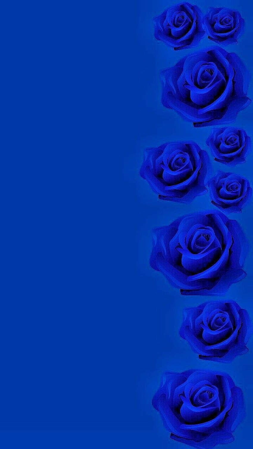 Page 23 | blue-rose HD wallpapers | Pxfuel