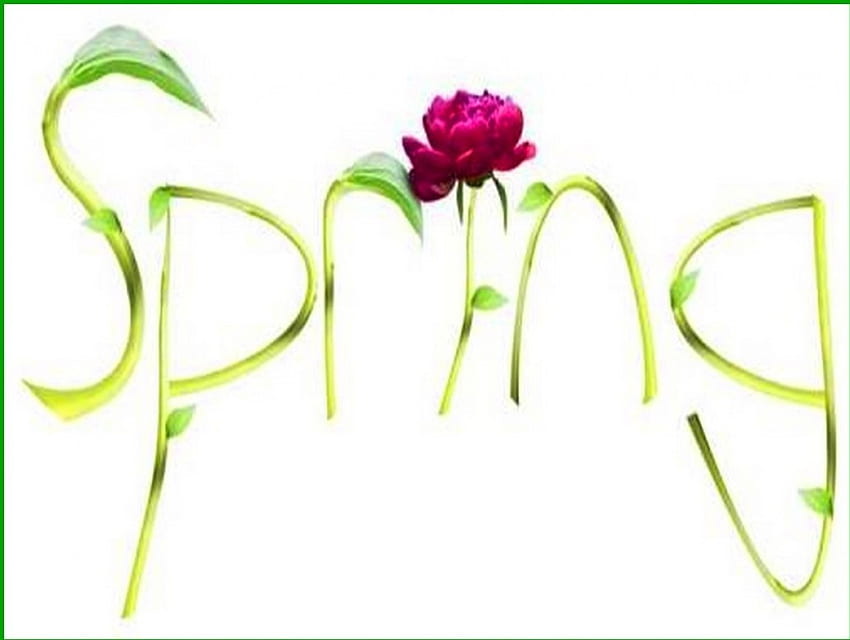 SIMPLY SPRING, Rose, Frühling, Rahmen, rot HD-Hintergrundbild
