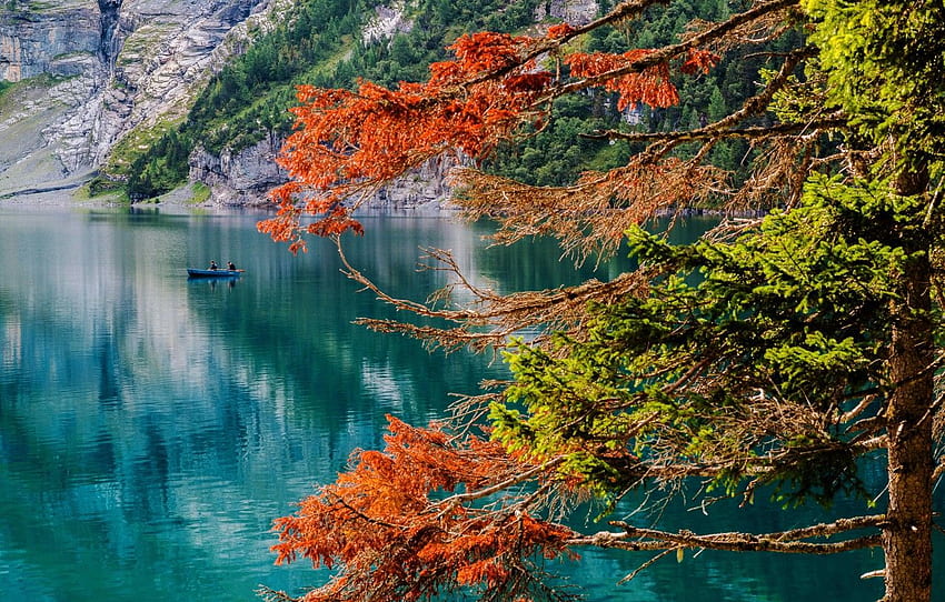autumn, lake, tree, boat, Switzerland, fishermen HD wallpaper