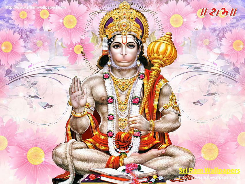 Hanuman ji meditando para móviles fondo de pantalla