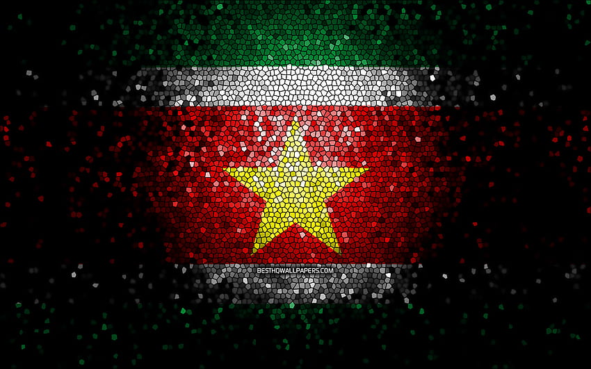 Suriname flag, mosaic art, South American countries, Flag of Suriname, national symbols, Surinamese flag, artwork, South America, Suriname for with resolution . High Quality, South Vietnam HD wallpaper