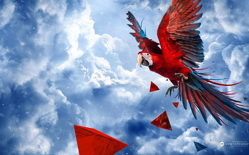Parrot Mavi Gökyüzü, Parrot Linux HD duvar kağıdı
