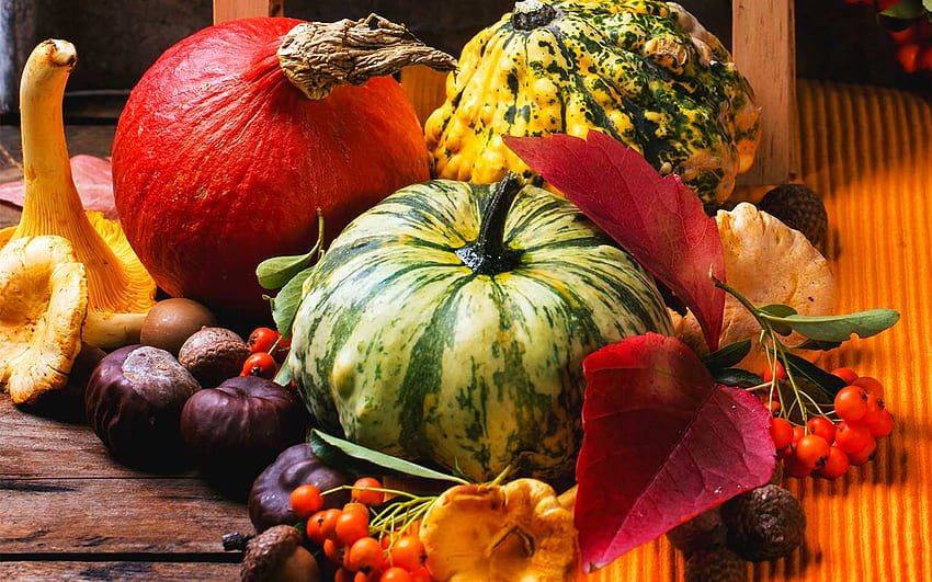 Thanksgiving Background , November Harvest HD wallpaper