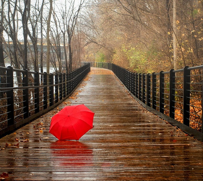 En Awesome Love Rain Nature . Невероятна графика на природата, дъжд, дъждовен ден HD тапет