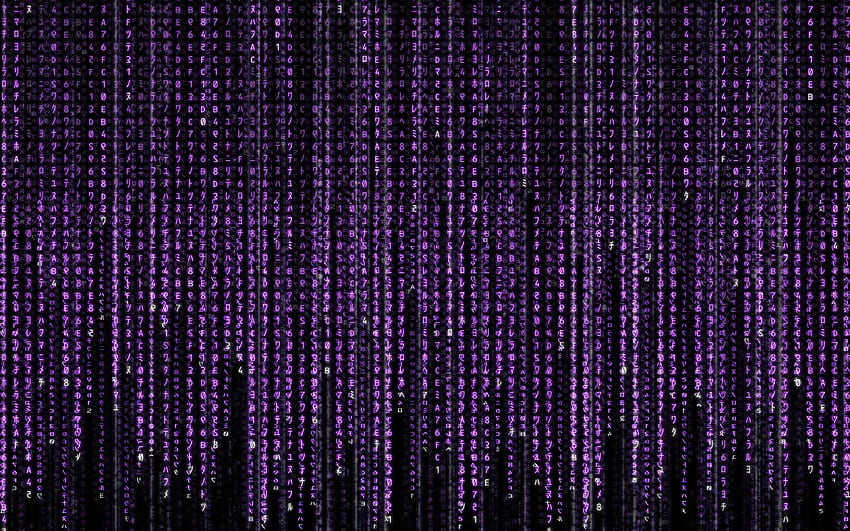 Purple Matrix Background For Powerpoint. Code , background, Matrix HD wallpaper
