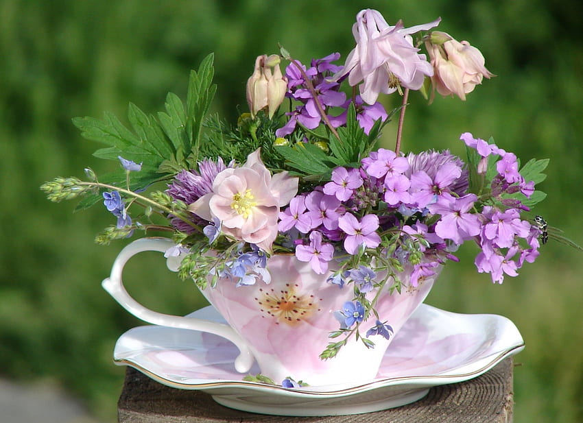 *** Wild flowers in cup ***, flower, nature, flowers, cup, wild HD wallpaper