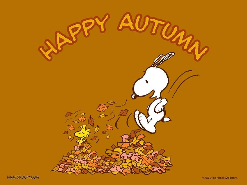 Autumn. Herbst hintergrundbild, Snoopy hintergrund, Snoopy halloween, Charlie Brown Autumn HD wallpaper