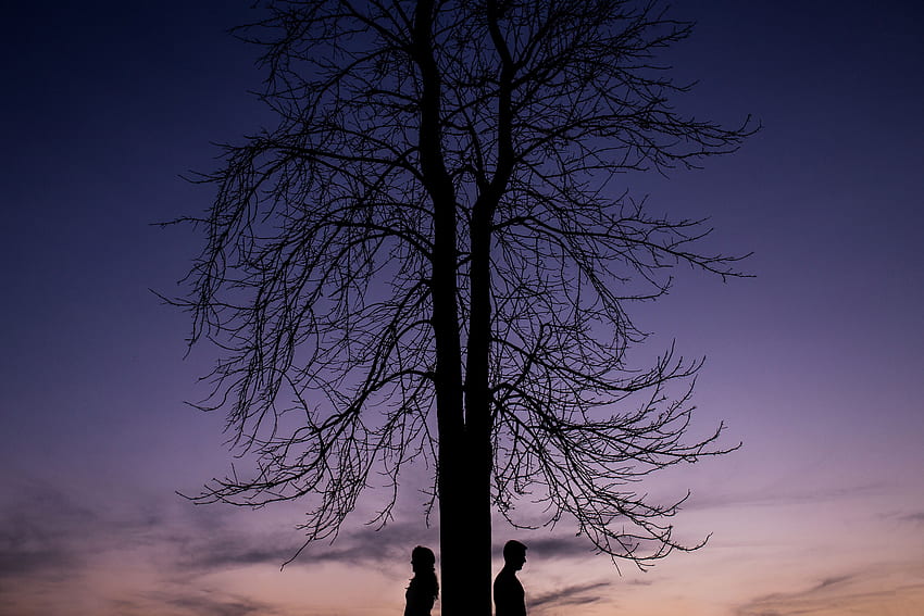 Love, Wood, Couple, Pair, Tree, Silhouettes HD wallpaper