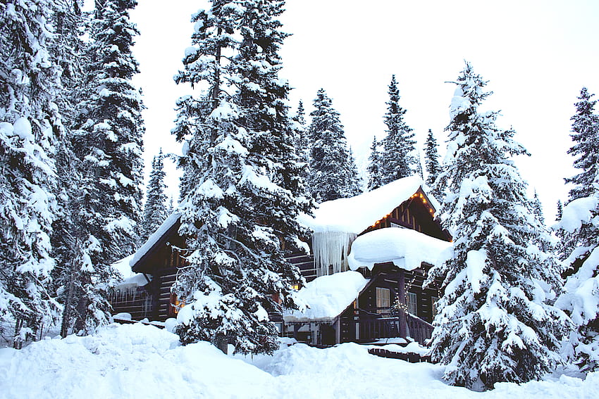Inverno, Natura, Neve, Foresta, Casa Sfondo HD