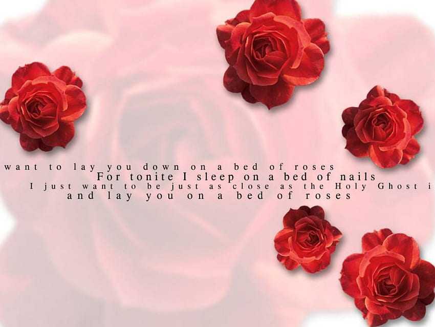 Bed of Roses, rosas vermelhas, bon jovi, música, letras papel de parede HD