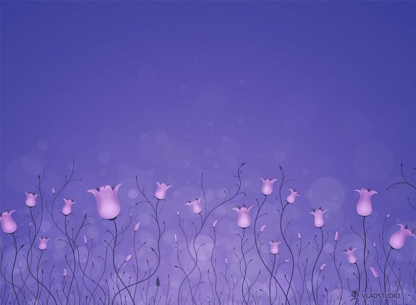 Cloches violettes, violet, fleurs Fond d'écran HD