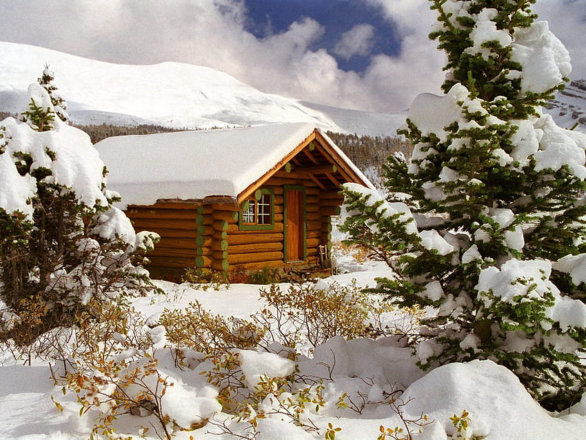 Naturaleza, Árboles, Nieve, Bush, Canadá, Abeto, Picea, Casa pequeña, Lodge, Columbia Británica fondo de pantalla