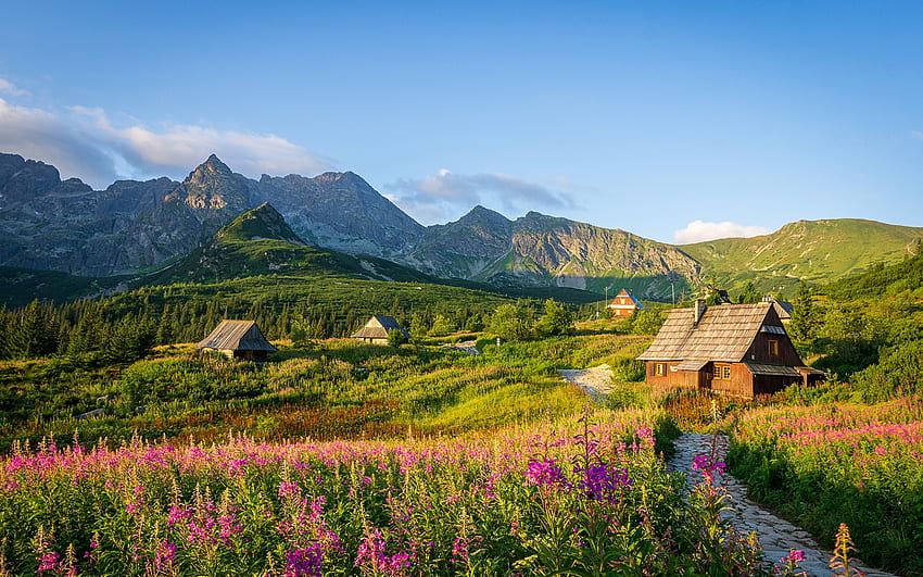 Tatra, mattina, alba, paesaggio di montagna, Polonia, Carpazi, villaggio di montagna Sfondo HD