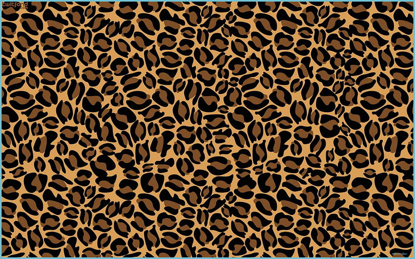 Leopard print for HD wallpapers | Pxfuel