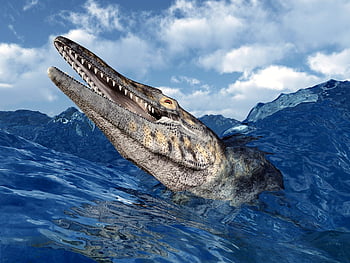 Mosasaur HD wallpapers | Pxfuel