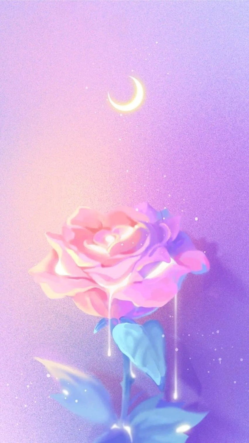 Rosa, Lila, Himmel, Violett, Blütenblatt, Blume. Hübsch, Blume, niedlich, rosa und lila Girly HD-Handy-Hintergrundbild