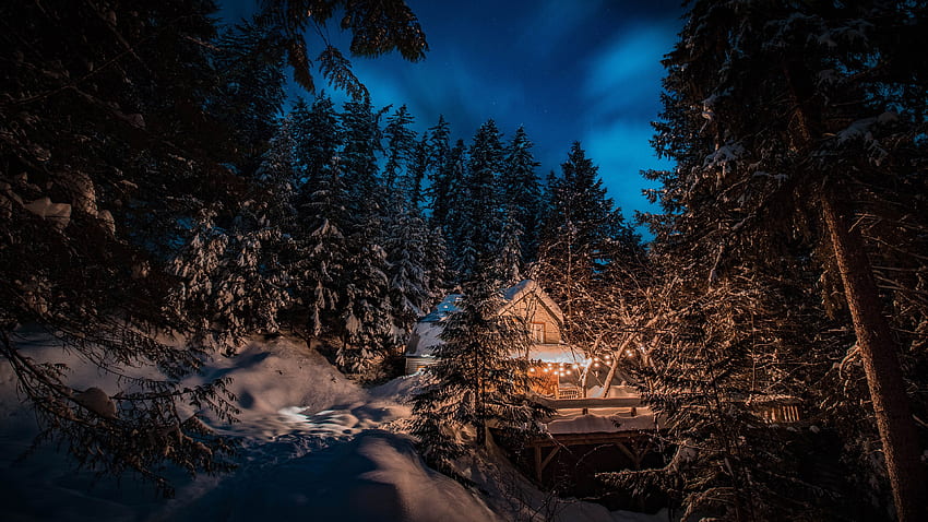 Winter Cabin, winter, forest, snow, cabin HD wallpaper