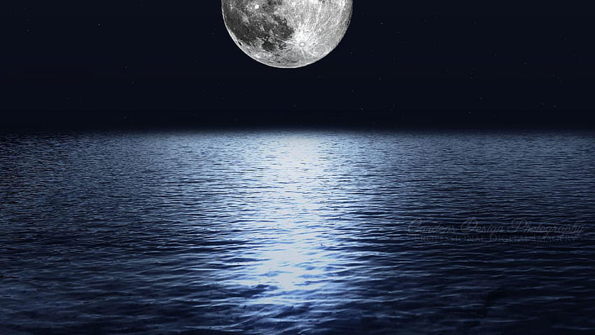Full moon over the sea. background Rose Boyle, rec max HD wallpaper ...