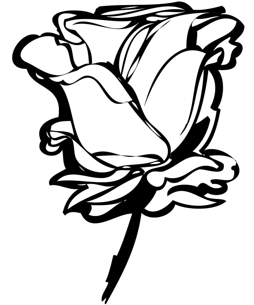 Rose Clipart Black And White, Black and White Rose Drawing HD phone ...