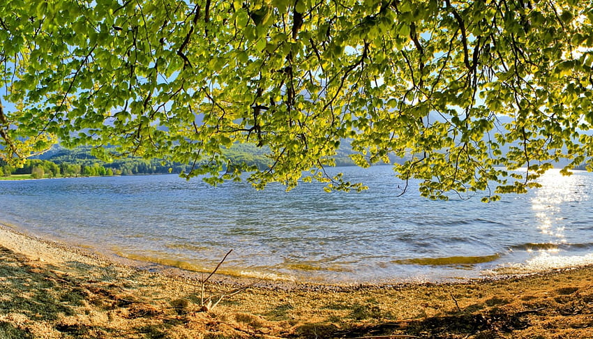 *** Slovenya-Bohinj Gölü ***, göller, ağaçlar, natura, su, göl HD duvar kağıdı