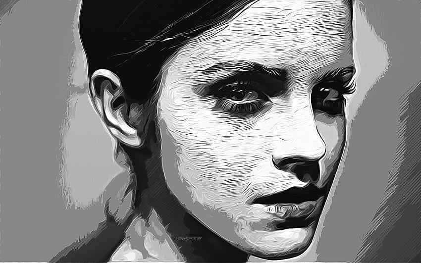 Emma Watson, , vector art, Emma Watson drawing, creative art, Emma Watson  art, vector drawing, Emma Watson portrait HD wallpaper | Pxfuel