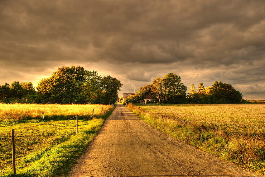 paisagem, natureza, campos, outono, estrada papel de parede HD