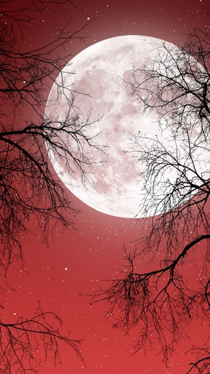 Luna llena Cielo rojo Árboles oscuros Galaxy s4 fondo de pantalla del teléfono