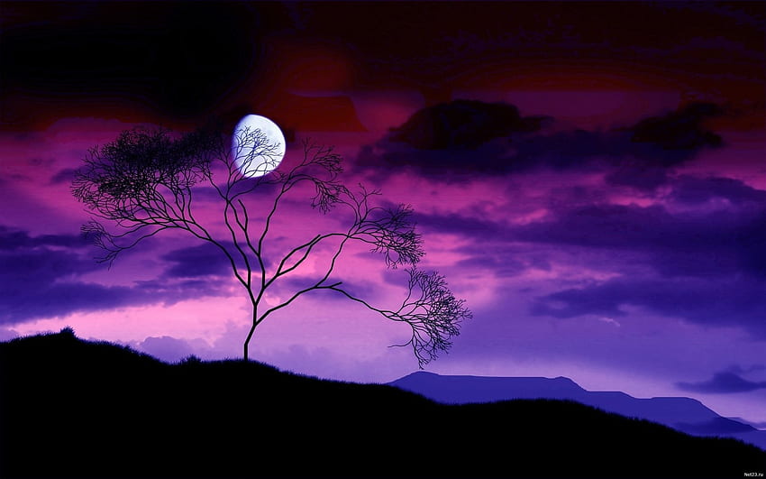 예술 자연 풍경 언덕 산 하늘 구름 밤 황혼 달, 자주색 밤 하늘 HD 월페이퍼