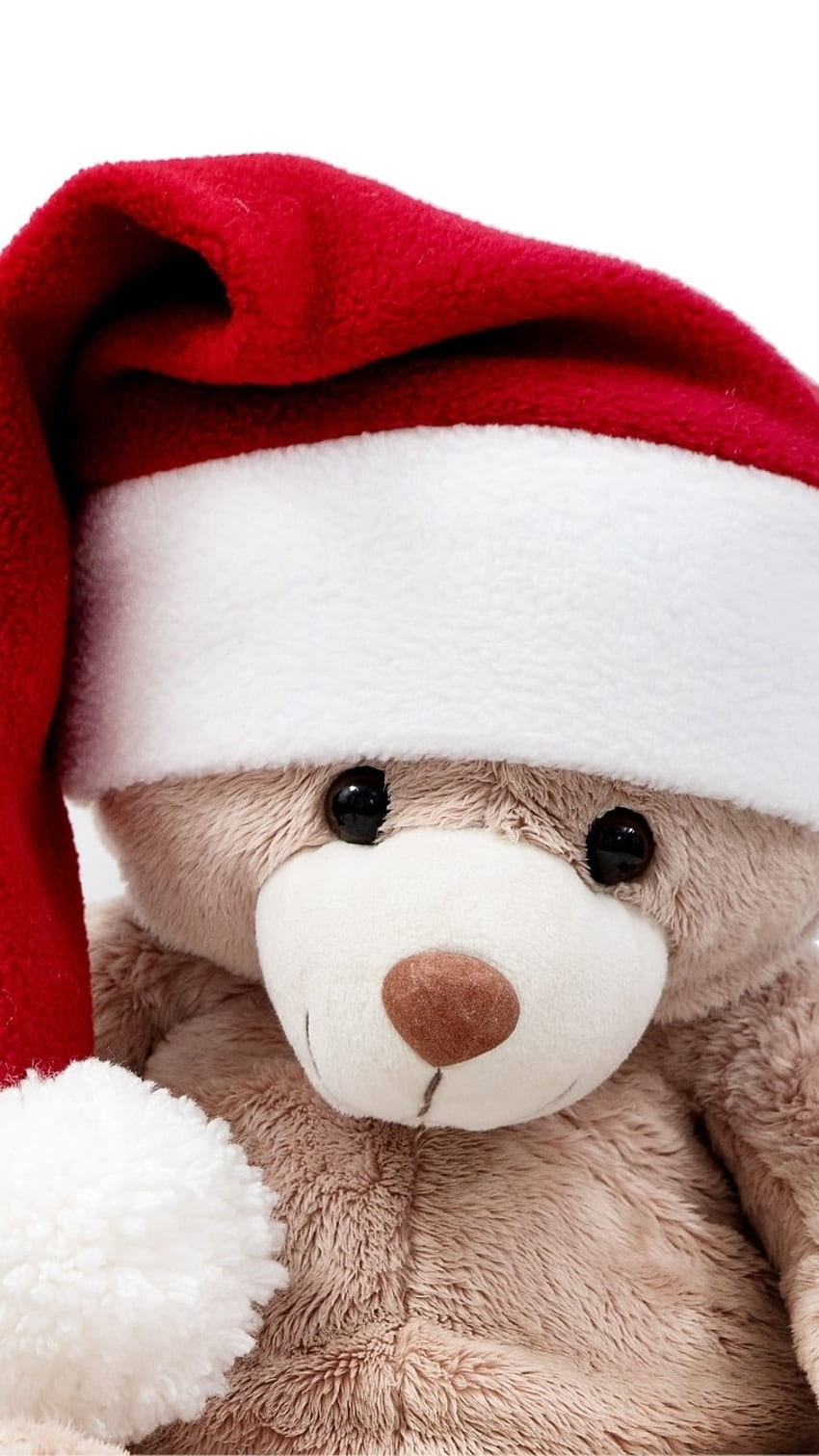 Cute Teddy Bear, Santa Clause, Cap HD phone wallpaper | Pxfuel