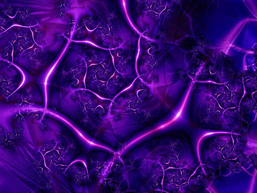 Purple Fairy 3 Hivecom [] per dispositivi mobili e tablet. Esplora Fata Viola. Bordo fiore viola, tulipano viola, giardino fatato, astratto viola fata Sfondo HD