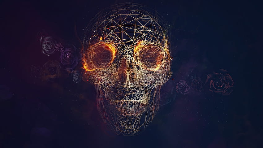 wireframe, CGI, Skull, Fire, Rose, Vectors, Lines, Blue Background / and Mobile Backgrounds HD wallpaper