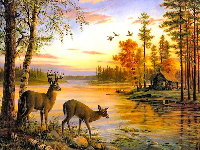 Beautiful nature, colorful, beautiful, tree, lake, deer, nature, tramp, cottage, forest HD wallpaper