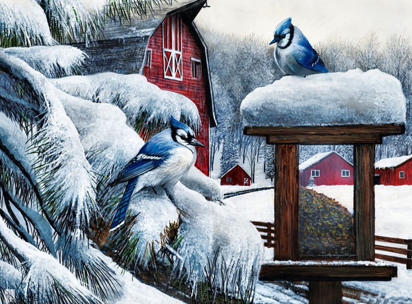 Winter Blue Jays F1C, animal, songbirds, wnter, bird, art, beautiful, avian, artwork, wide screen, wildlife, painting, snow, blue jays HD wallpaper