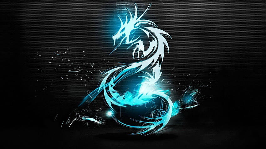 Logo Dragon, Dragon de jeu Fond d'écran HD