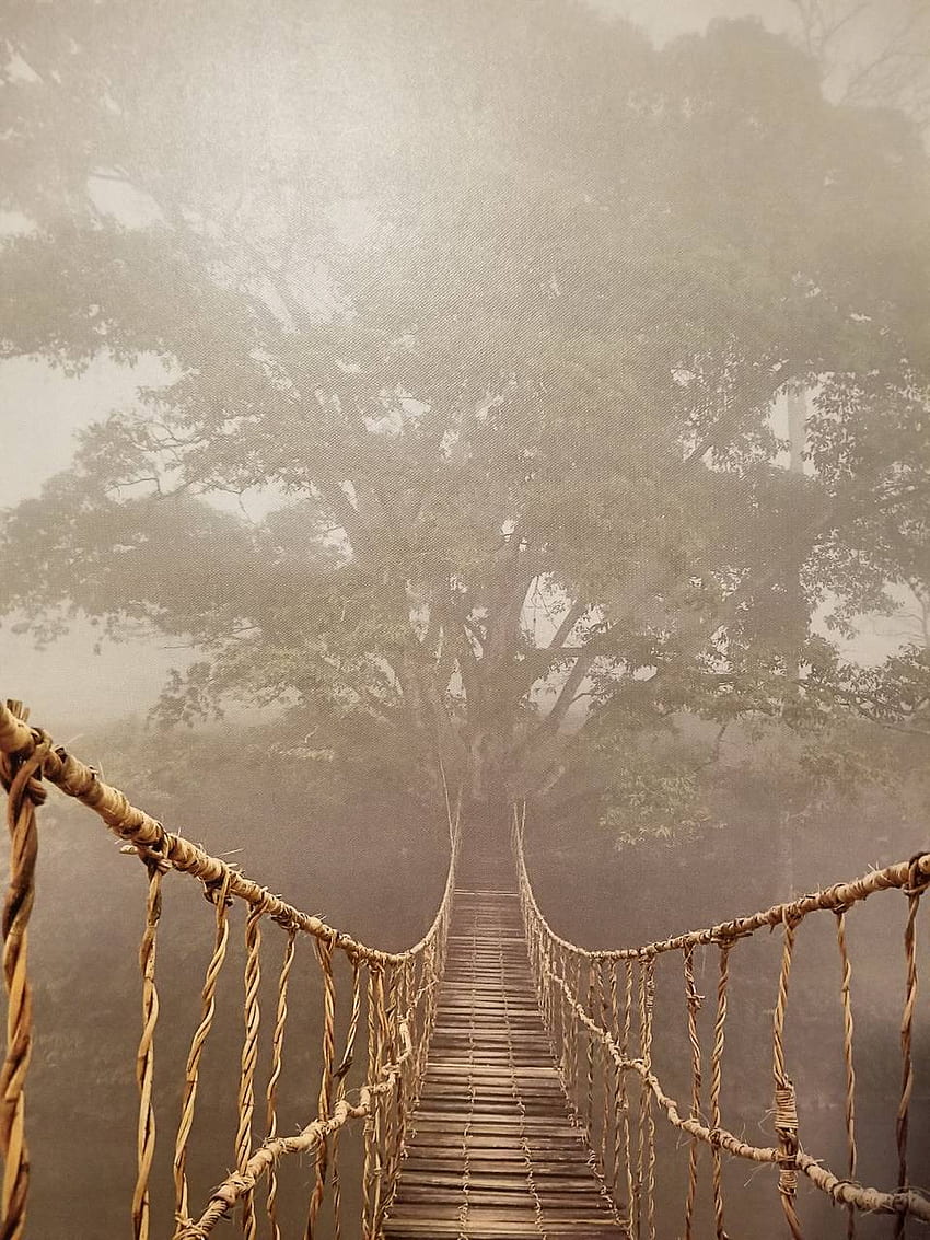Halatlı asma köprü, Orman Köprüsü HD telefon duvar kağıdı