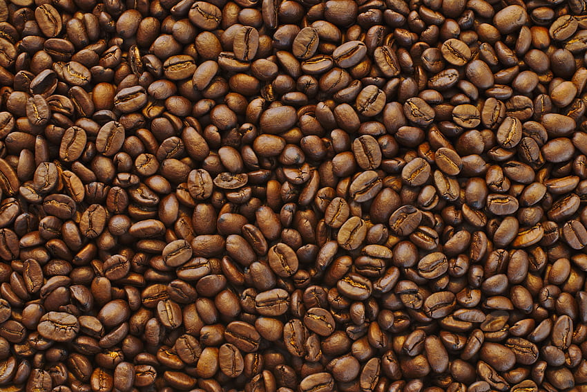음식, 커피, 곡물, 커피 콩, 그레인, 튀김 HD 월페이퍼