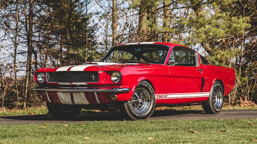 Red, classic car, 1966 Shelby GT350 HD wallpaper