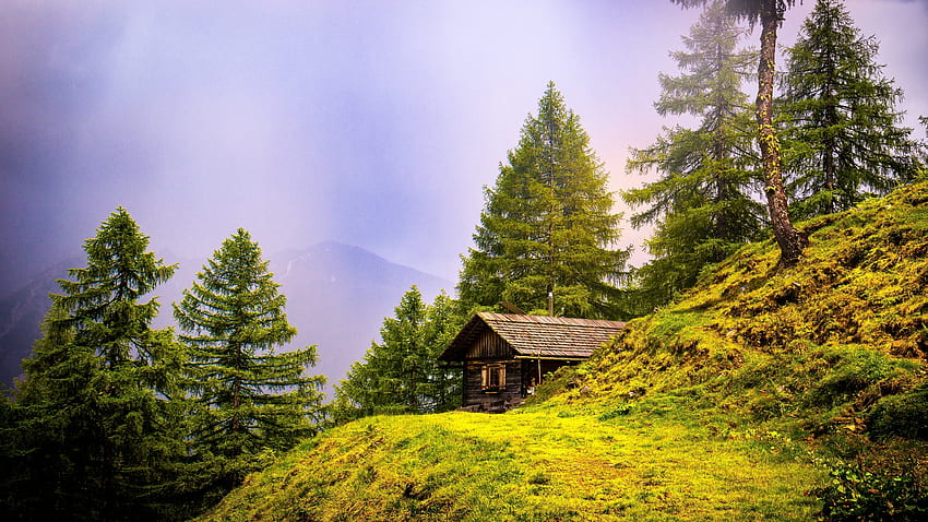 Alpino, capanna, paesaggio, natura, alberi Sfondo HD