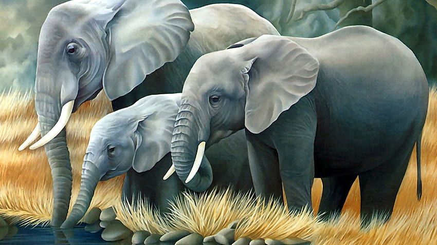 Elephant 3D, Abstract Elephant HD wallpaper