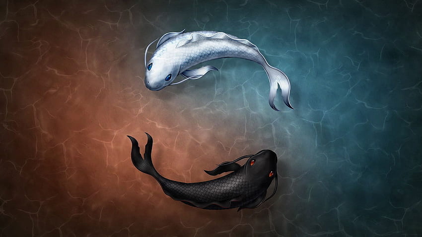 ilustrasi ikan coy hitam putih, dua coi hitam putih berenang di atas air animasi Wallpaper HD
