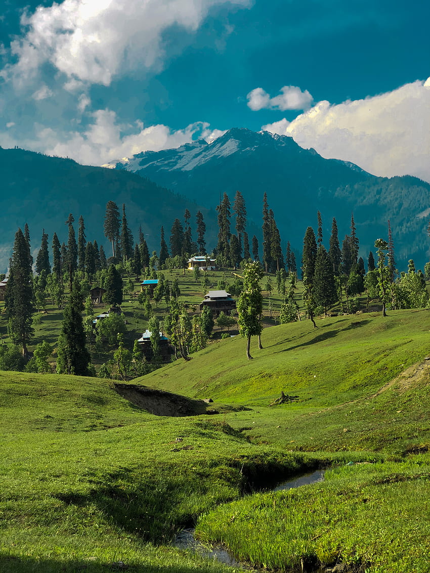 Cachemira, nube, cielo, colina, montaña, hierba, nieve, naturaleza verde, valle fondo de pantalla del teléfono