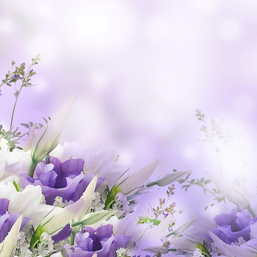Beerdigung Hintergrund, Beerdigung Blumen HD-Handy-Hintergrundbild
