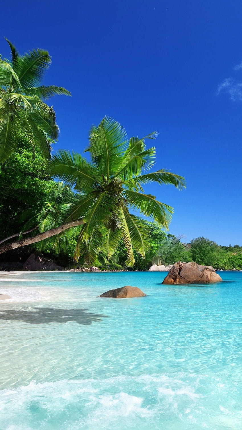 트로피컬 아이폰8 플러스. 아름다운 해변 낙원, 꿈의 휴가, 여행하기 좋은 아름다운 장소, 카리브해 해변 iPhone HD 전화 배경 화면