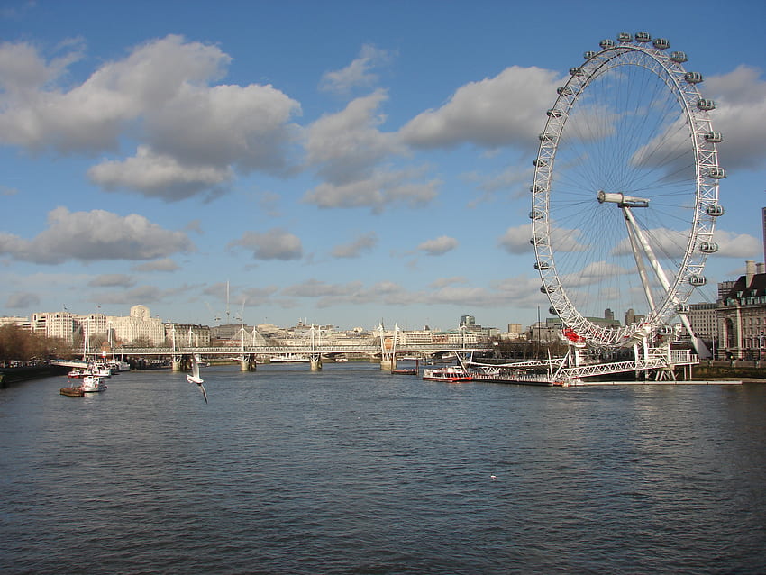 London eye, london, water HD wallpaper