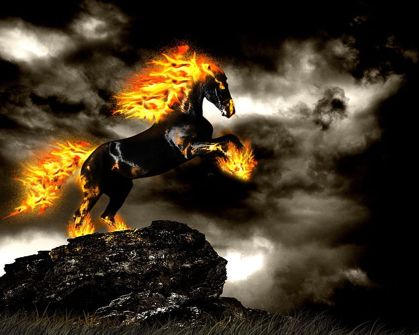Horse On Fire, Black Fire HD wallpaper