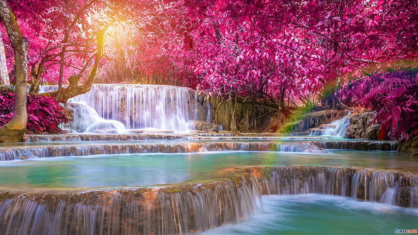 Waterfall, tree, colorful, pink, pretty, nature, water HD wallpaper