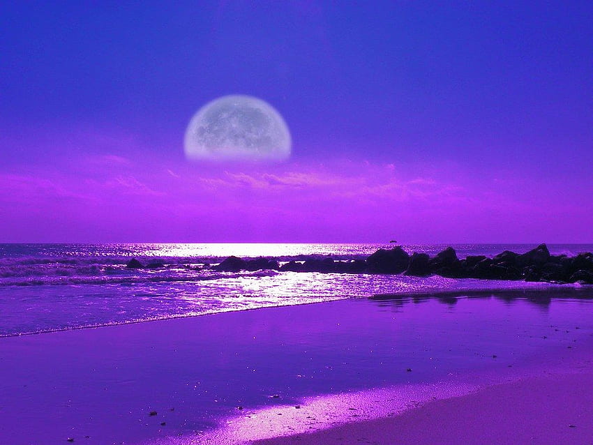 Moonlight Beach HD wallpaper | Pxfuel