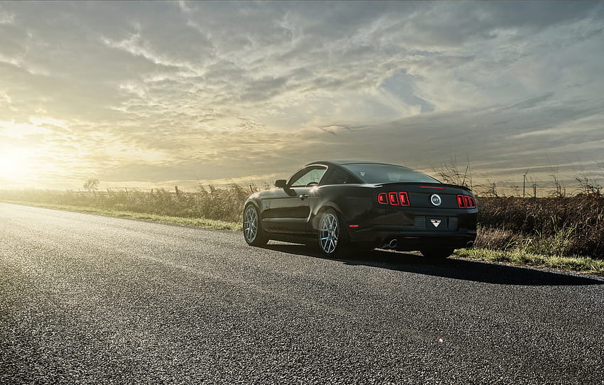 Auto, Mustang, Cars, Shine, Light, Road, Back View, Rear View, Gt HD wallpaper