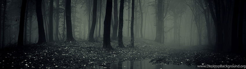 Dark Forest Dual-Monitor, Panorama-Wald HD-Hintergrundbild