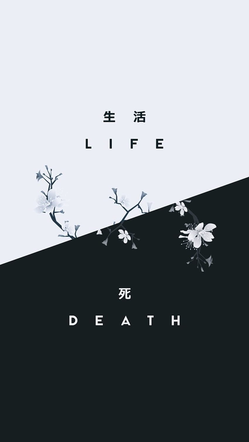 สุวิมล ปึงวัชรสมิทธิ์ on Background. Black aesthetic , Cute , Dark , Japanese White Aesthetic HD phone wallpaper